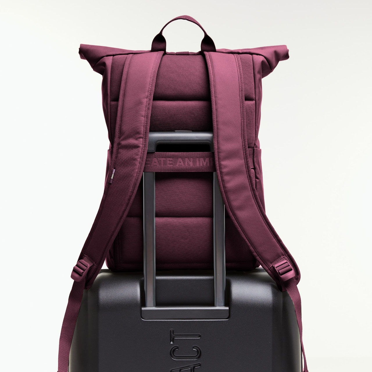 Rolltop easy kraken mono Kofferband