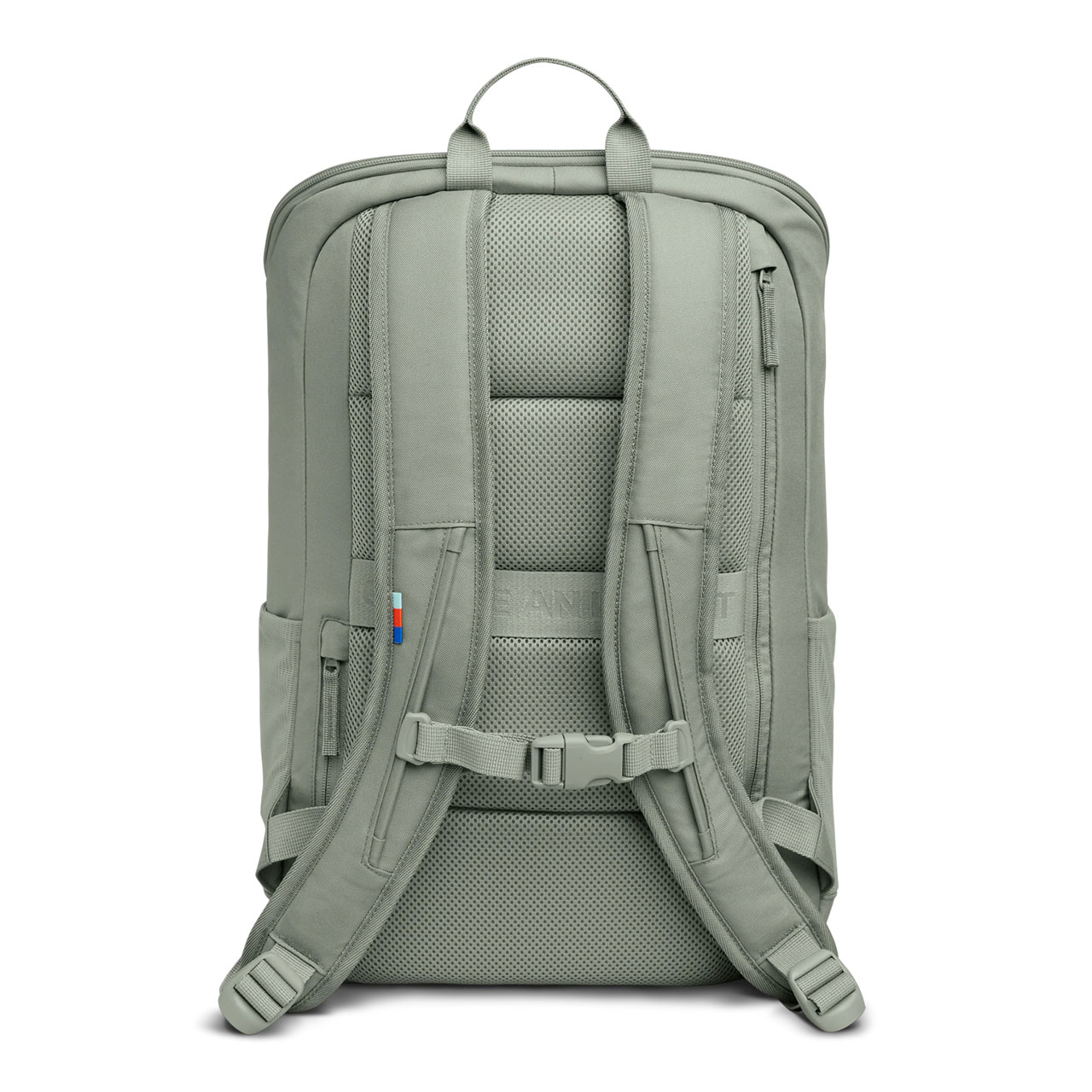 GOT BAG ProPack bass back