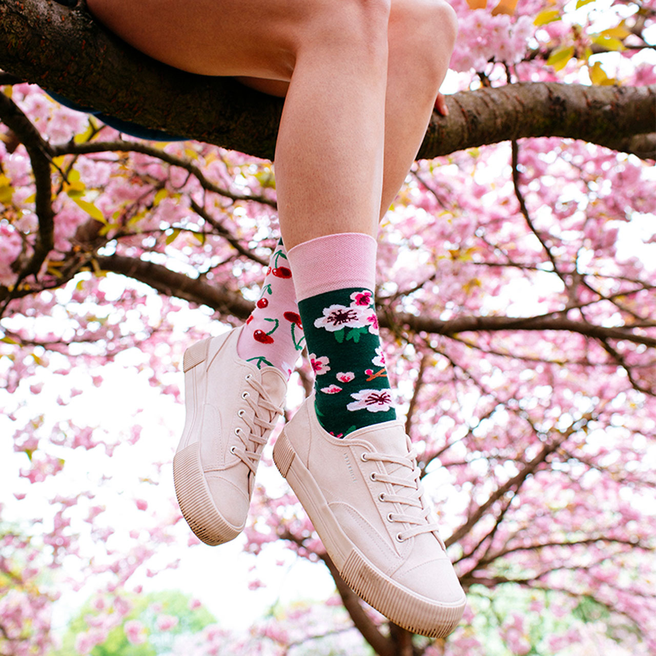 Many Mornings Socken Cherry Blossom Style