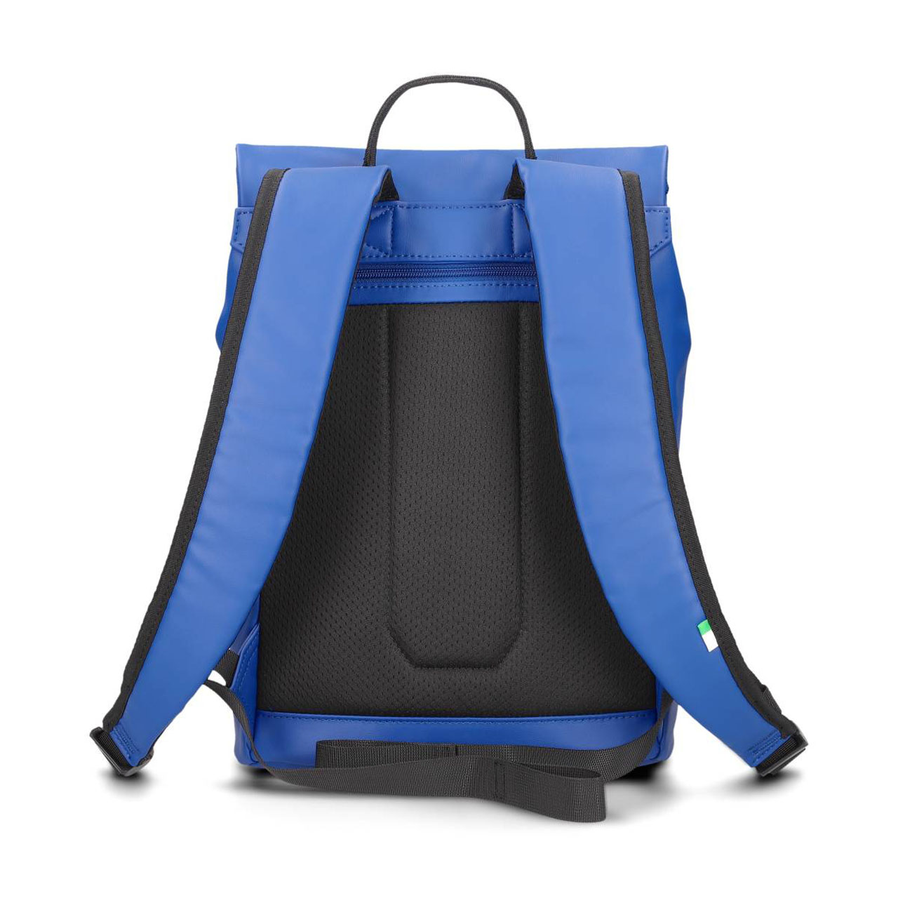 ZWEI Rucksack Cargo CAR130 royal
