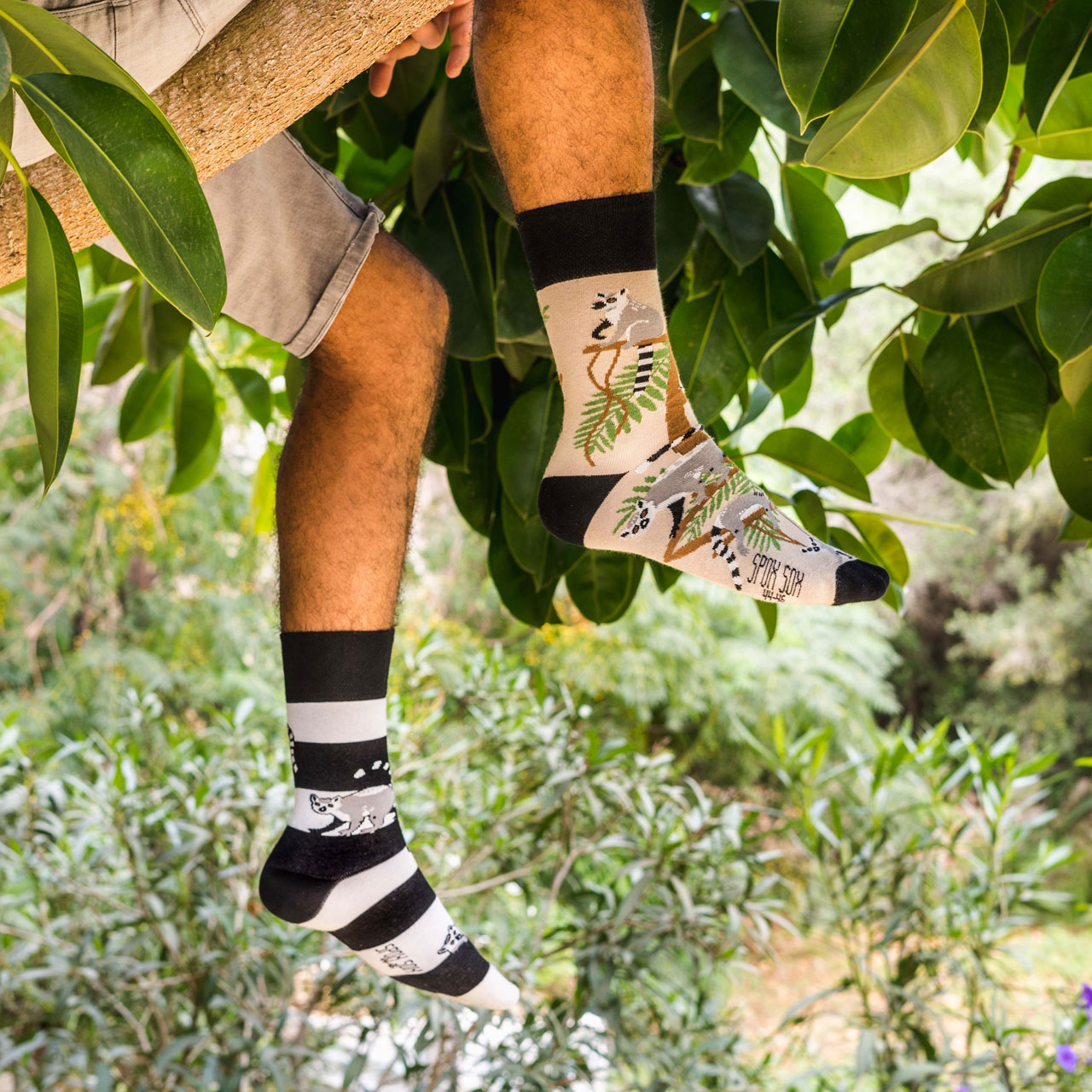 Spox Sox Socken Lemuren Model
