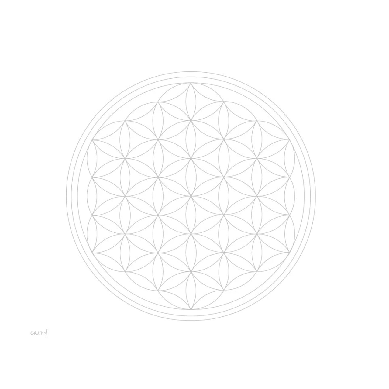 CARRY Flasche Flower of life 0,7l Bild