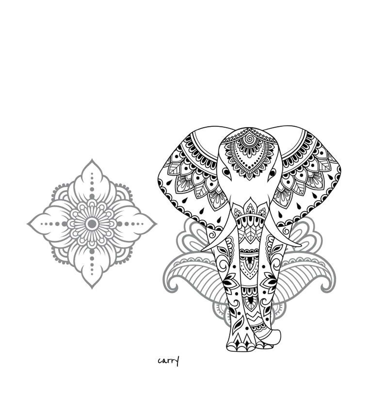 CARRY Flasche Elephant 0,7l Bild