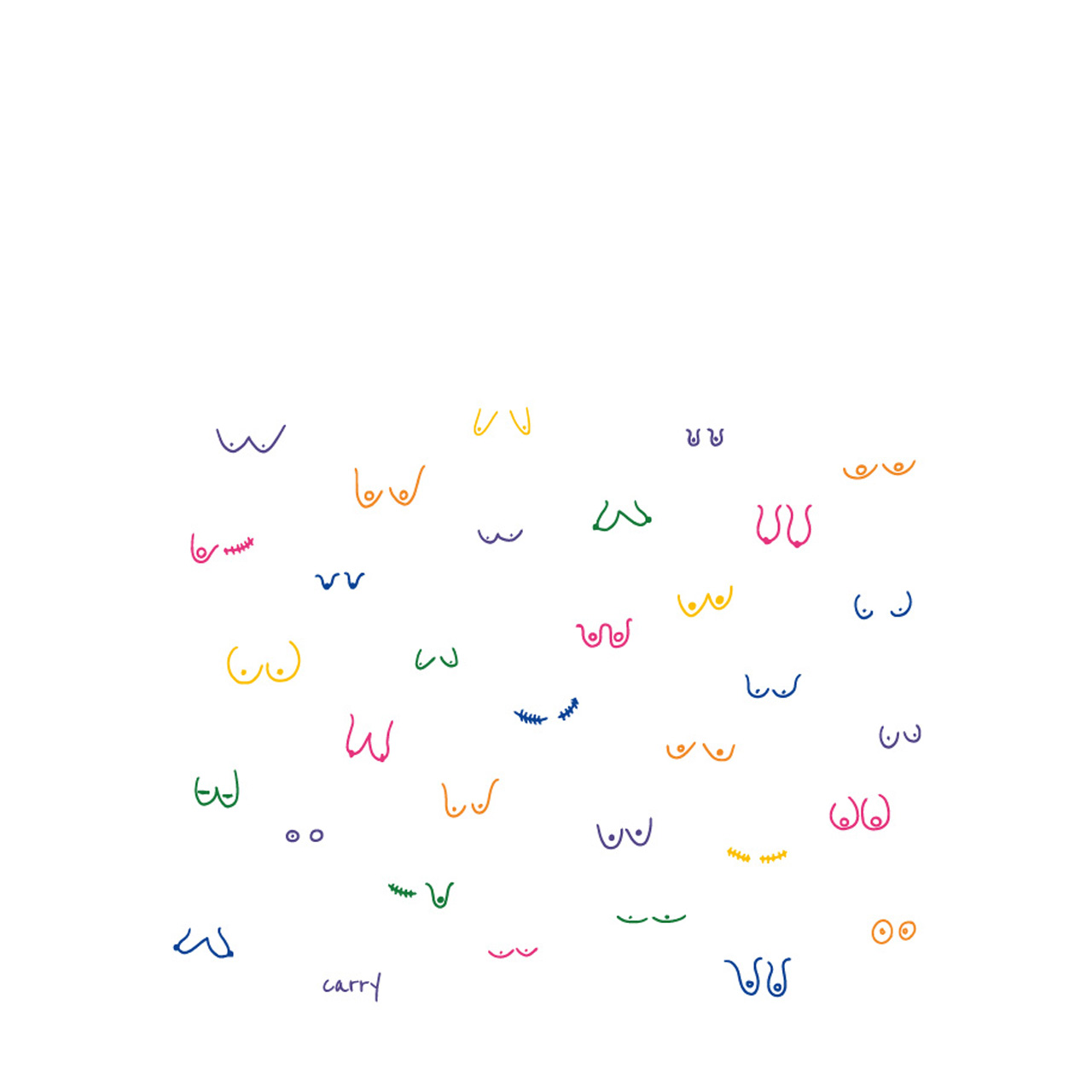 CARRY Flasche Boobies 0,7l Motiv