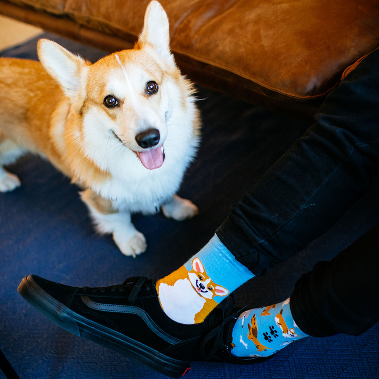 Many Mornings Socken Playful Dog Style