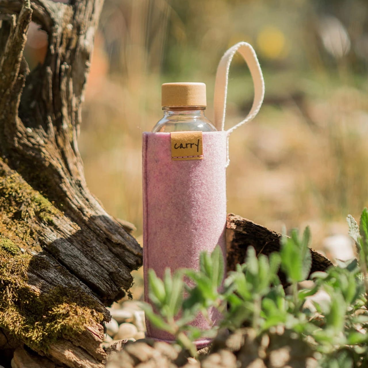 CARRY Schutzhülle magnolia bei Baum