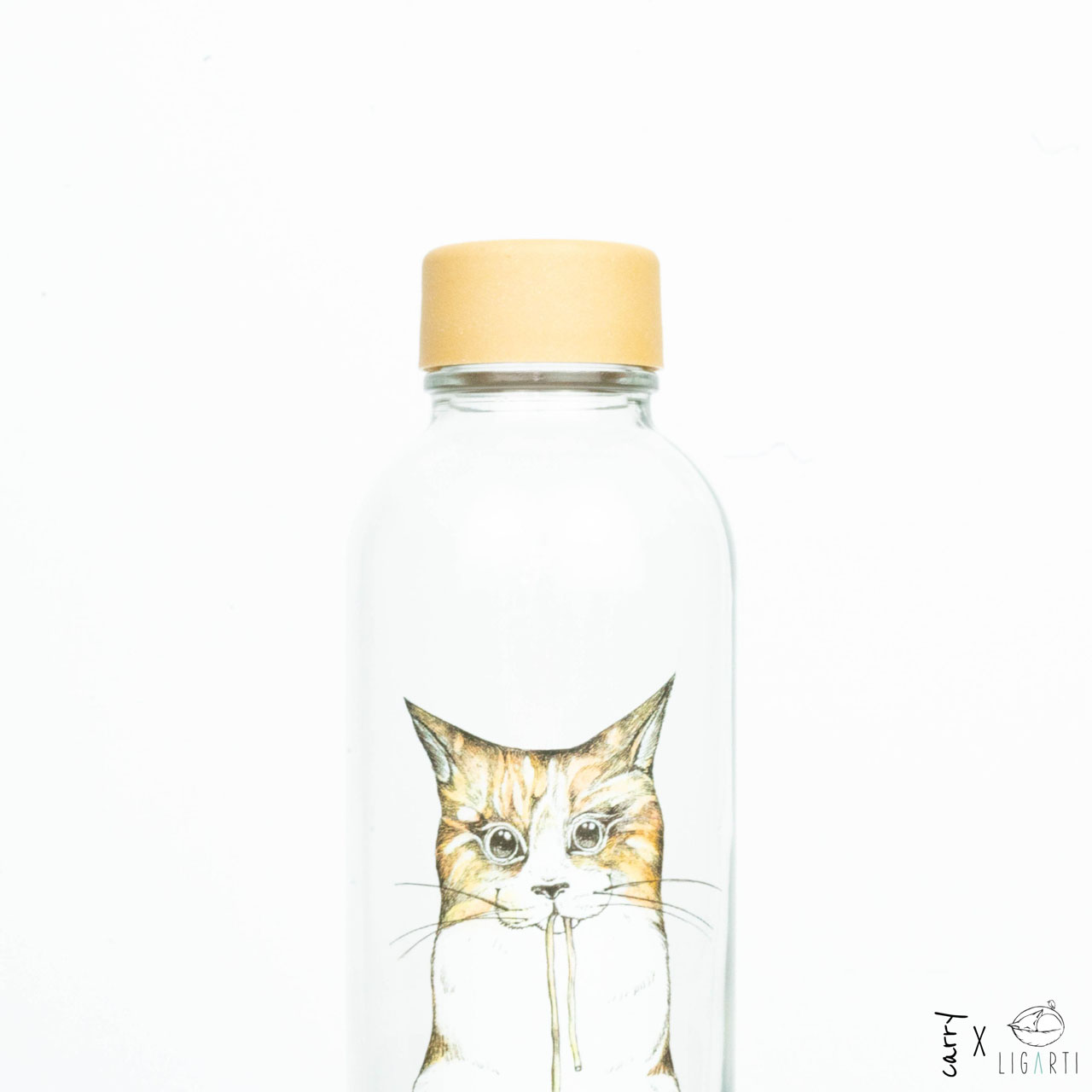 CARRY Flasche Ramen Cat 0,7l oben