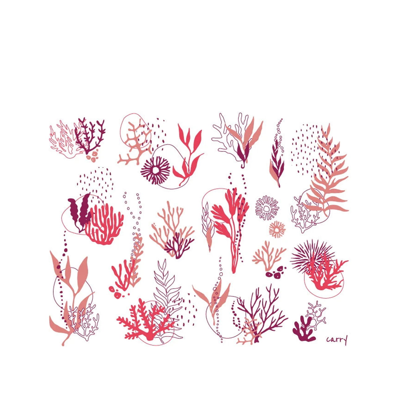 CARRY Flasche Coral Reef 0,7l Motiv